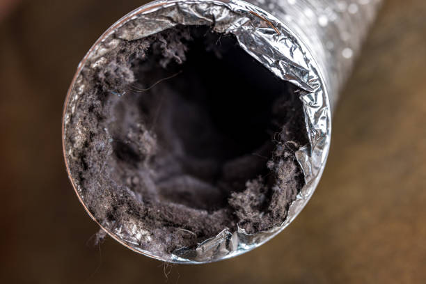  Wray, CO Airduct Cleaning Pros